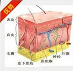 彻底修复,拒绝复发